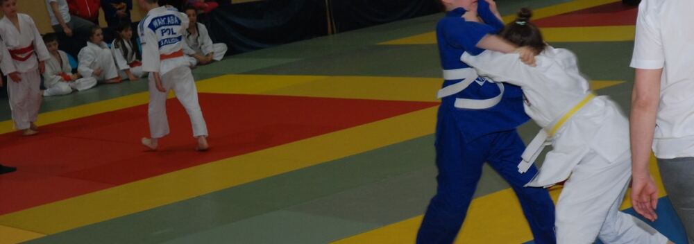 Copernicus Judo Cup- Toruń 16.04.2016 — zdjęcie z archiwum klubu
