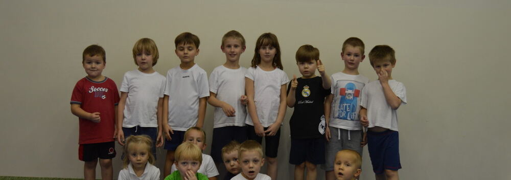 SP 20 grupa naborowa 11.2015 — zdjęcie z archiwum klubu